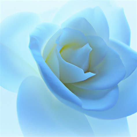 The Power of Color: Aligning Your Brand with Archetype Colors