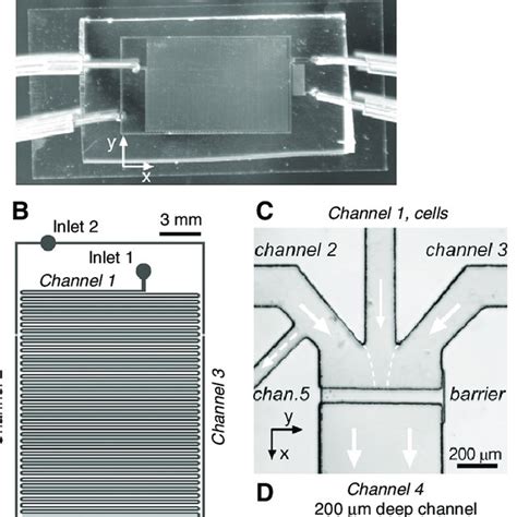 microfluidic device  microfluidic device  portion