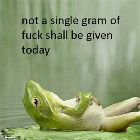 No Fuck Meme By Erklarson Memedroid