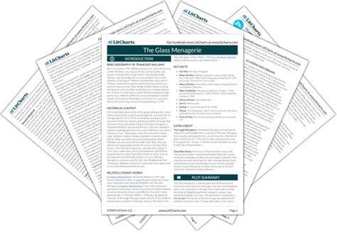 The Glass Menagerie Symbols Litcharts