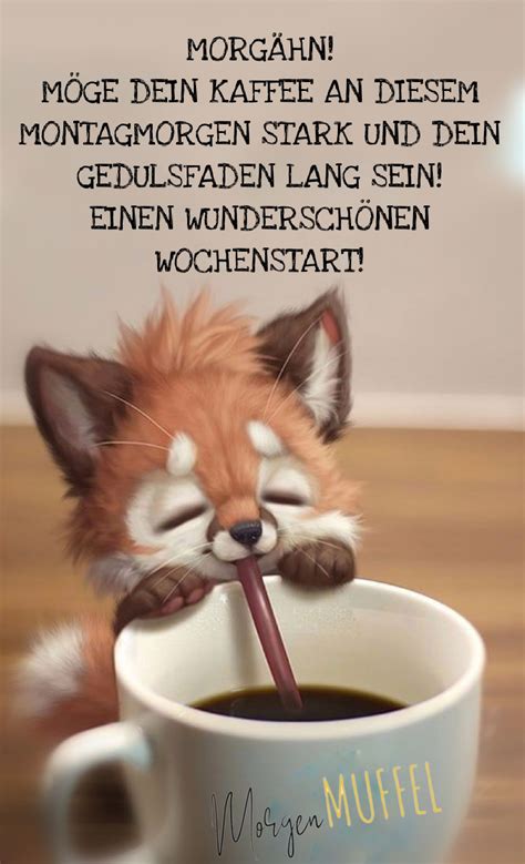 Lustig Guten Morgen Wochenstart 2