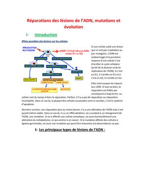 Cartographie Physique On Verra Que Toutes Les Approches En