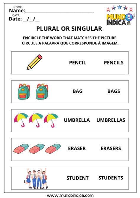 Class No Plural Em Ingles - 8 Atividades sobre Plural dos Substantivos em Inglês