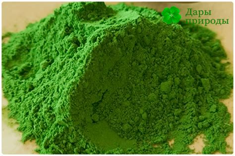 Стевия польза и вред