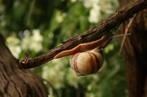 Крым природа | Пикабу