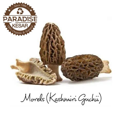 guchii  paradise kesar