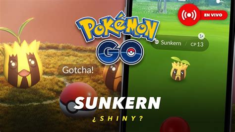 🌼 ¡buscando A Sunkern Shiny En Pokémon Go Youtube