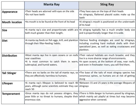 What Is The Difference Between Manta Ray Vs Stingray Sharksinfo