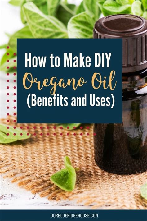 How To Make DIY Oregano Oil 15 Benefits And Uses Our Blue Ridge House