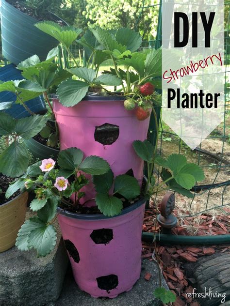 15 DIY Strawberry Planter Ideas To Grow Your Fresh Summer Delights