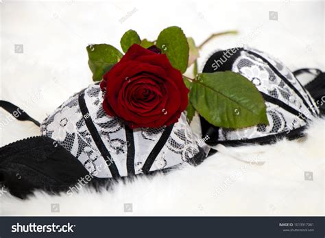 Sexy Black White Lingerie Red Rose Stock Photo Shutterstock