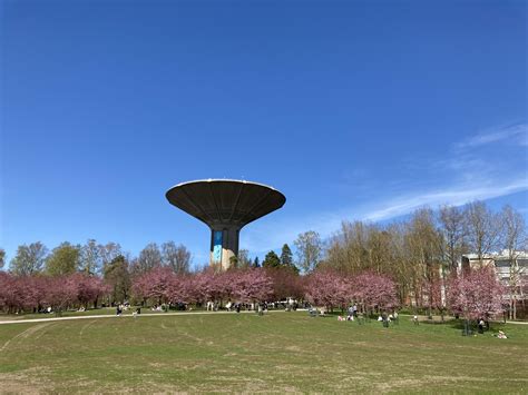 SANI MARIN : Finland