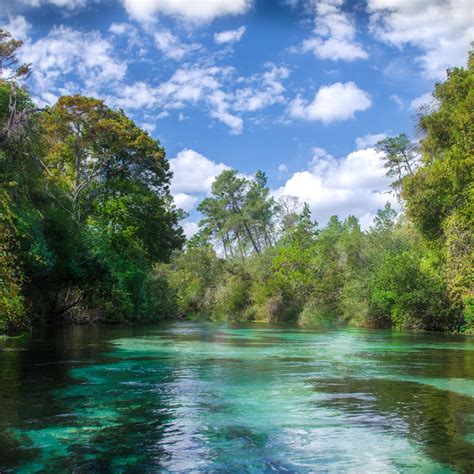 Massive restoration projects will save weeki wachee spring weeki wachee fl 21