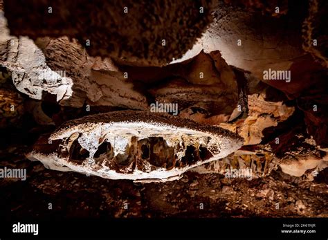 Boxwork formation inside Wind Cave National Park in the Black Hills of ...