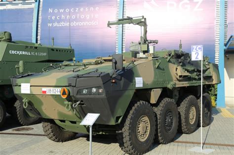 versions   rosomak apc specialized derivatives
