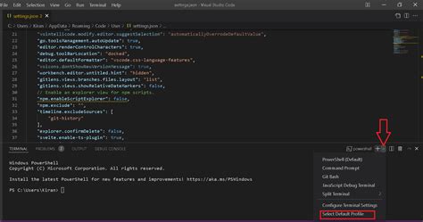 Vs Code Change Default Terminal Path