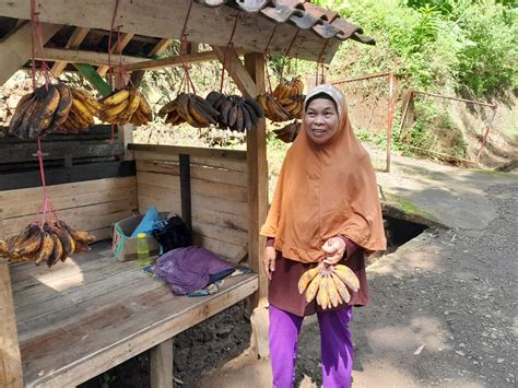 Lika Liku Pedagang Pisang Pinggir Jalan Salawu Kapolid