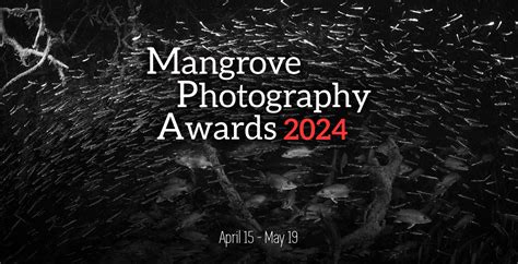 Meet the winners of the Mangrove Photography Awards 2024 - Mangrove ...