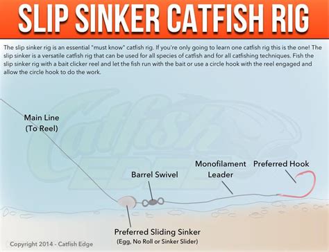 Catfish Rigs The Best Rigs For Catfishing