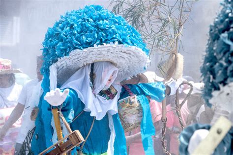 imagenes de zoque descubre bancos de fotos ilustraciones vectores