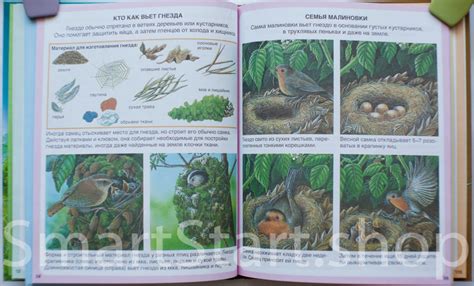 Книга: Жизнь леса | Купить книгу в Канаде и США | SmartStart