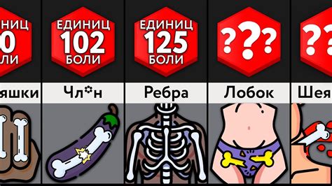 Никогда Не Ломай Эти Кости! - YouTube