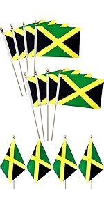 Amazon TSMD Sunset Lesbian Les Pride Stick Flag Small Mini Hand Held LGBT Rainbow Flags