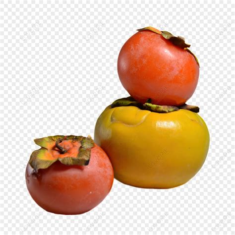 realistic persimmon images hd pictures   vectors
