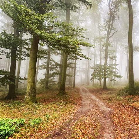 My morning commute : r/bikecommuting