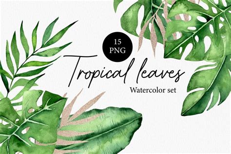 Tropical Leaves Clipart Watercolor Jungle Clipart