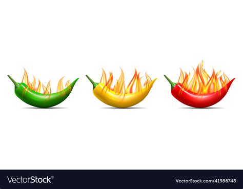 Spicy Level Set Of Hot Flaming Chili Pepper Pods Vector Image