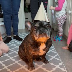 true grit appalachian ways net worth forbes