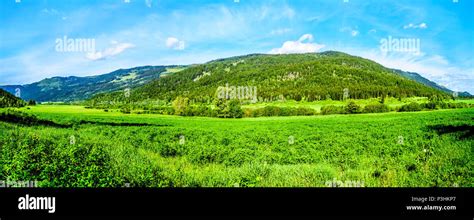 Farm Fields Meadows And Mountains Along The Heffley Louis Creek Road