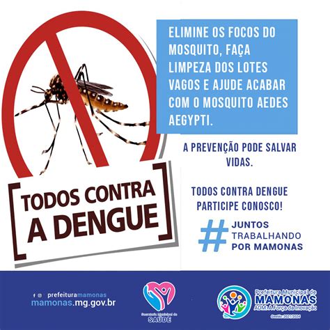 Todos Contra Dengue Participe Conosco Prefeitura Municipal De Mamonas