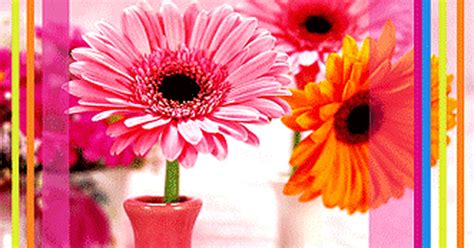 Открытка для самой лучшей мамочки открытки, поздравления на cards ...