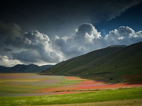 ALPA Image Gallery - Fiorita by Gianluca Federighi