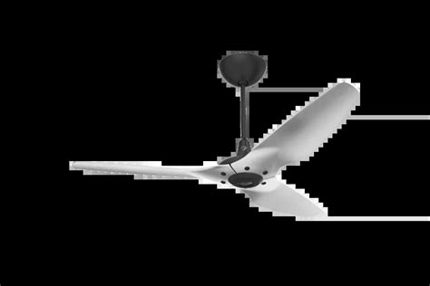 Big Ass Fans Haiku Gen Black Indoor Ceiling Fan With Brushed Aluminum Blades The Fan