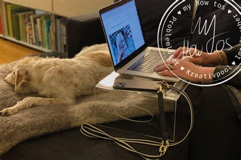 Welcome home, Homzy! - MyHowTos