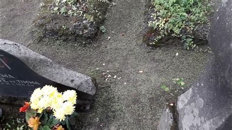 Крадник на страны и концерны. III Крадник через кладбище - YouTube