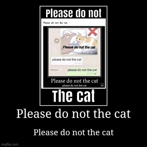 Please Do Not The Cat Imgflip