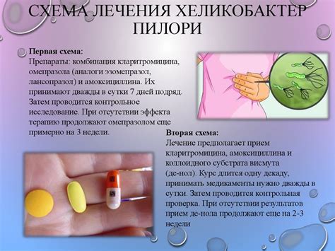Бактерия Helicobacter pylori - презентация онлайн