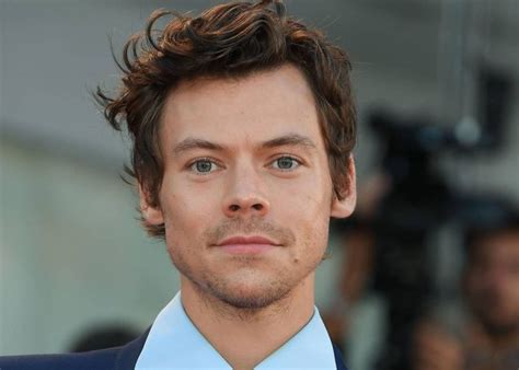 Video Of Harry Styles Having Sex With Another Man Is Leaked