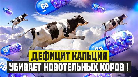 Дефицит кальция убивает коров - YouTube