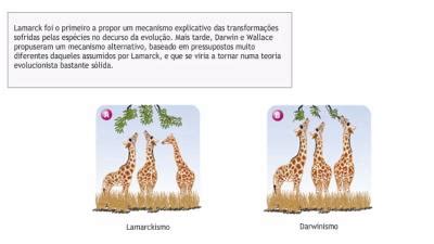 Lamarckismo Darwinismo E Neodarwinismo - Lamarckismo, Darwinismo e Neodarwinismo