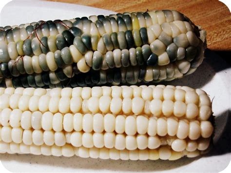Blue Corn La Cocina De Leslie