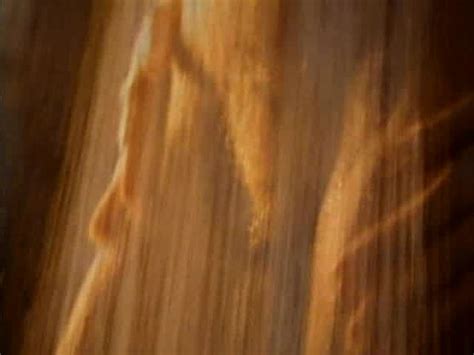 Forumophilia PORN FORUM Hot Collection Of Erotic Clips Page