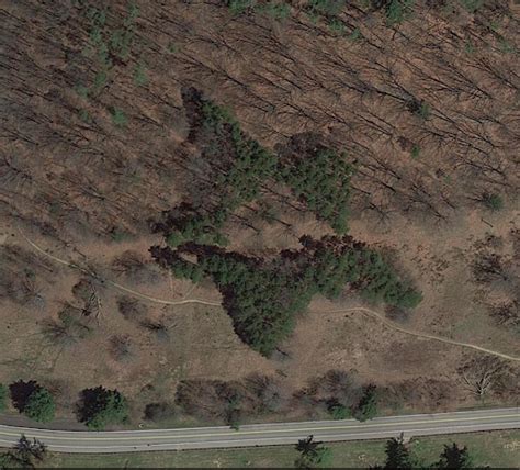 The Hidden History Of North Park The Uproar
