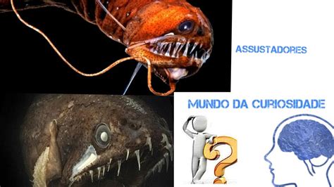 Criaturas Marinhas Mais Assustadoras E Sinistras Do Mundo Youtube