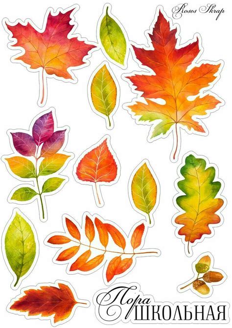 Pin by Екатерина Янкова on Скрап | Journal stickers, Print stickers ...