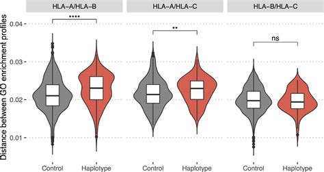 Frontiers HLA Variants Have Different Preferences To Present Proteins